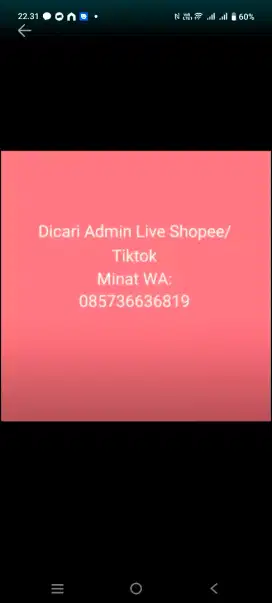 Dicari Admin Live