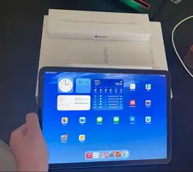 IPAD PRO M1 11inch CPO 256GB GREY + IPAD PENCIL GEN 2 MULUS