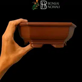 Pot Bonsai Segi 6