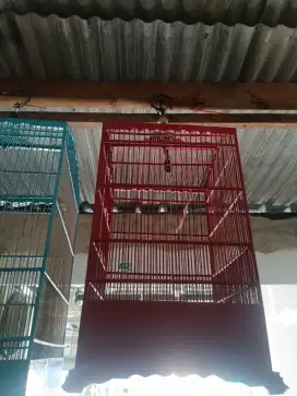 Sangkar burung murai