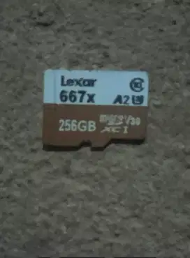 Memory Card 256 GB