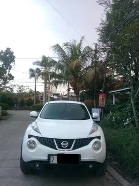 Nissan Juke 2011 Bensin