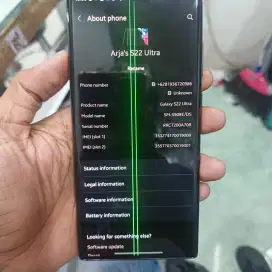 SAMSUNG S22 Ultra Sein