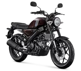 XSR155 vva cokelat