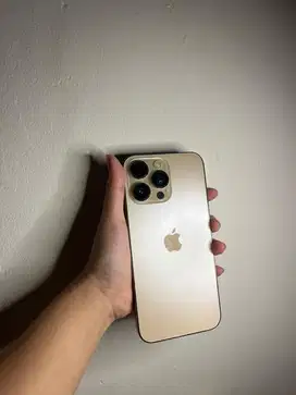 Iphone 14 promax 512gb beacukai