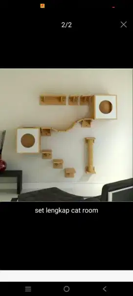 Rumah main kucing