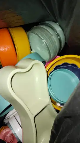 Tempat ee kucing dan tempat makan kucing