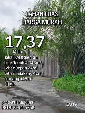 TANAH LUAS HARGA MURAH