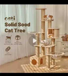 Rumah main kucing