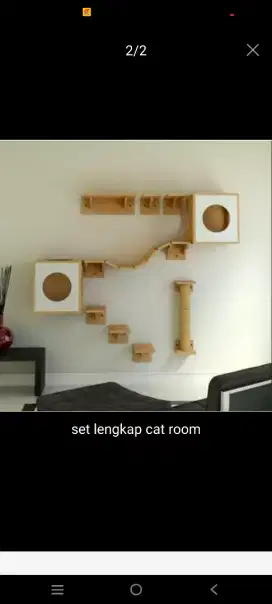 Rumah main kucing