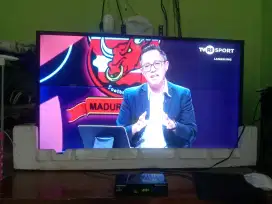 Tv Sony 46inc analog harus pake setbox nominus