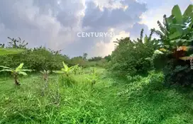 Dijual Cepat Tanah Datar Cocok Untuk Cluster Dekat Stasiun