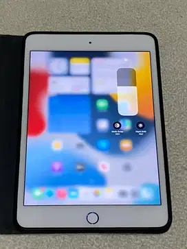 Ipad Mini 4 Wifi 128Gb