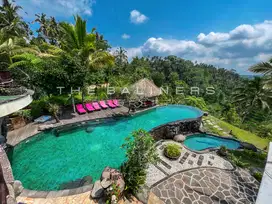 URGENT SALE   BREATHTAKING UBUD RETREAT OVERLOOKING LUSH RICE PADDIES