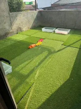 Dicari art menginap