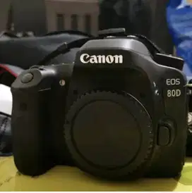 Kamera Canon D80