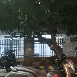 Rumah Strategis & Nyaman di Perumahan Wisma Kedung Asem, Surabaya