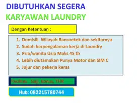 DIBUTUHKAN KARYAWAN LAUNDRY