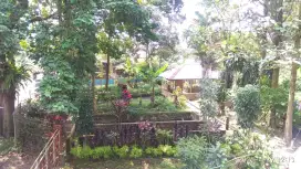 Dijual Tanah dan Kolam Ikan di pinggir jalan raya Cijeruk ada sungai