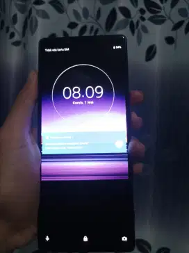 Sony xperia 1 wifi only