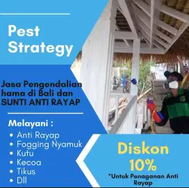 Jasa anti rayap di bali