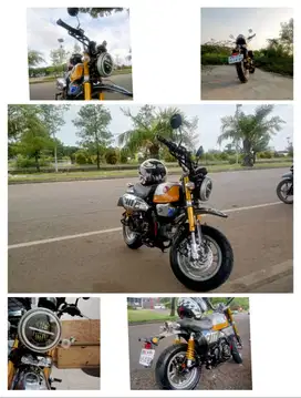 Karisma custom Honda monkey