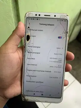 Xiaomi redmi 5plus
