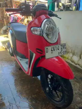 Scoopy 2019 mlus terawat