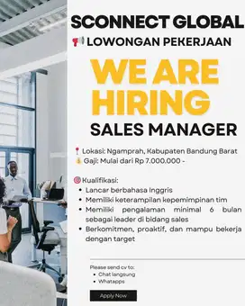 Sales Leader Manajer
