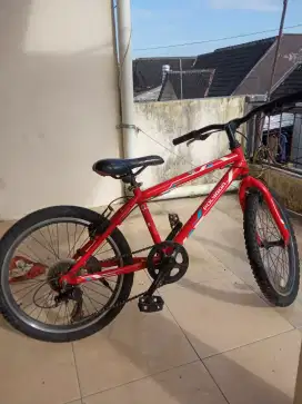 Jual MTB polygon ukuran 20
