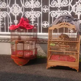 Wambi MH bahan rawatan sepasang