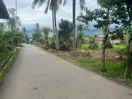 Tanah kapling padat luas 200&400.M.pinggir jln aspal gp kayele lambaro