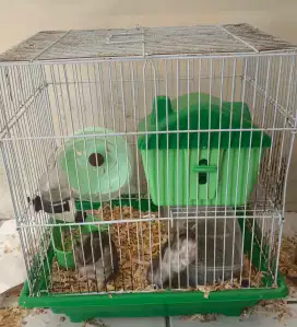Hamster beserta kandangnya