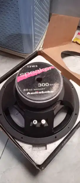 Subwoofer 12 Audioband