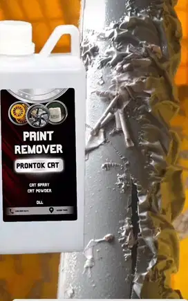 Paint Romover perontok cat
