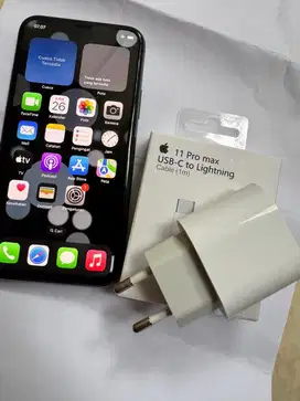 Iphone 11 Pro 256 Gb Inter Mulus