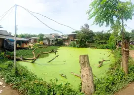 Oper Alih Empang Tanah Garapan Daerah Tegal Alur
