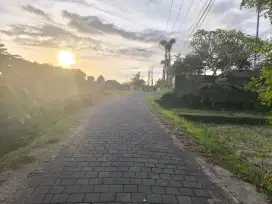 Dijual Tanah dekat Pantai Kedungu