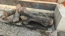 Kayu bakar gratis