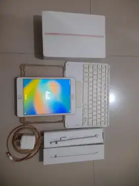 Ipad mini 5 64 gb rose gold fullset pribadi
