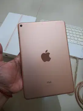 Ipad mini 5 64 gb rose gold fullset pribadi