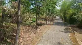 Dijual tanah SHM luas hampir 9000 m2