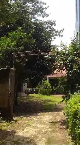 Rumah Lama Hitung Tanah Saja di Jl Bukit Cinere Raya , Cinere Depok