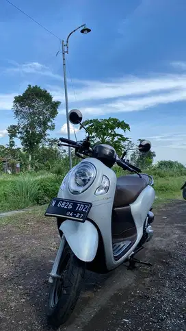 Dijual Honda Scoopy Cewek Cantik
