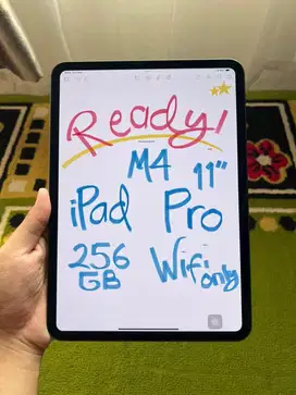 iPad Pro M4 11” 256GB Wifi Only