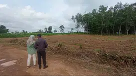 TANAH DI ITERA 70JUTAN.. Waaw.. KEREEN BANGEEEDDDD KAN