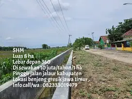 Di sewakan tanah pinggir jalan jalur kabupaten
