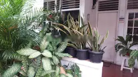 Rumah murah dekat radio dalam kebayoran baru