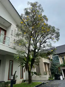 Rumah di Komplek Taman Pesona Jl Kebagusan Raya Ragunan Jakarta Selata