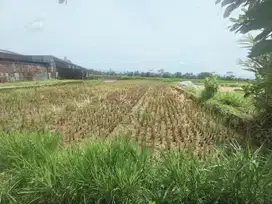 Tanah sawah produktif dekat pasar Padamara Purbalinggag
